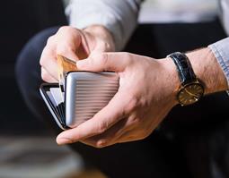  Card Case Panaro Silver Colored