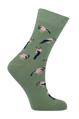Socks Birds Sag...