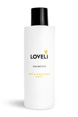 Shampoo Für Trockenes Und Strapaziertes Haar