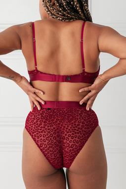 Mesh High Cut Briefs Beet Rood