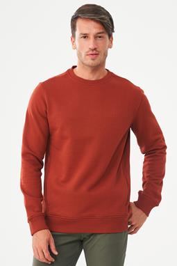 Sweatshirt Ginger Brown