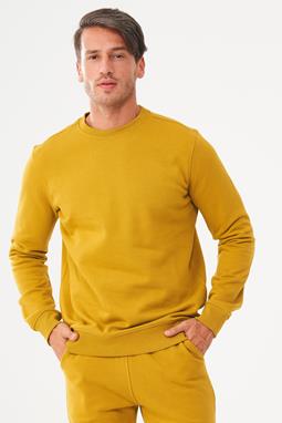 Sweatshirt Tobacco Yellow