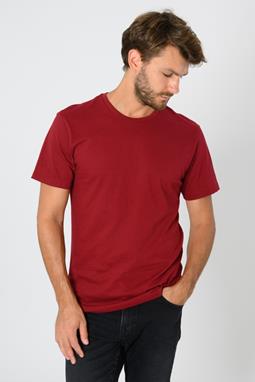 Tt02 T-Shirt Robijn