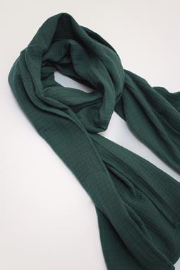 Schal Bio-Baumwolle Smaragd