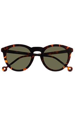 Sunglasses Mar Tortoise