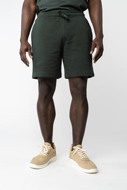 Shorts Jadoo Green