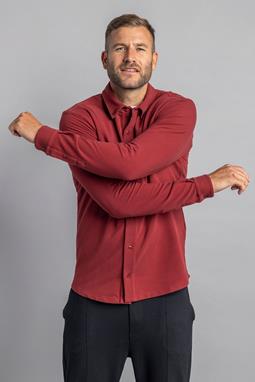 DIRTS Jersey Overhemd Royal Burgundy