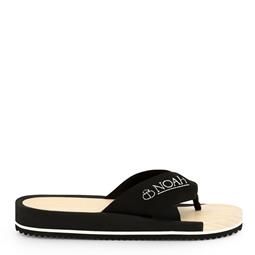 Slipper Sasha