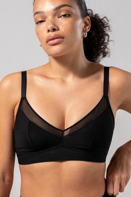 Understatement: Mesh Support+ B...