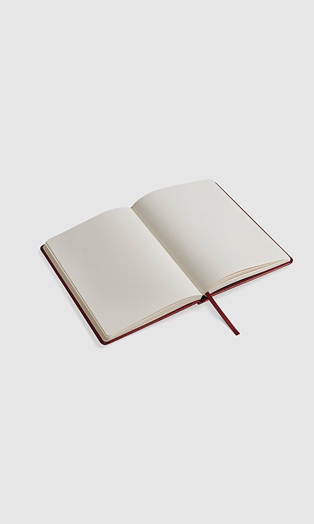 Bullet Journal Spark Red from Shop Like You Give a Damn