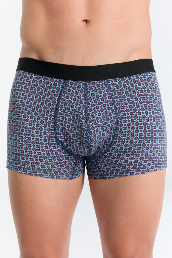 Trunk Shorts Floralgeo 