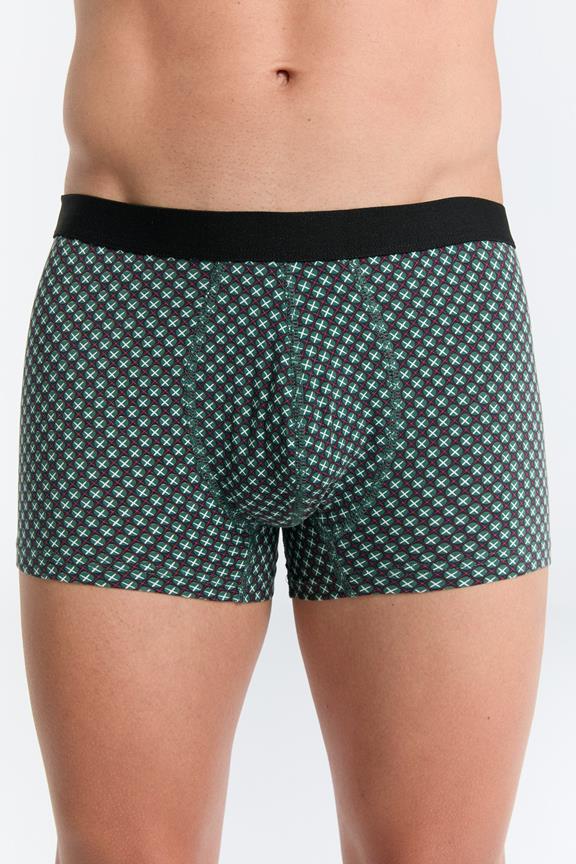 Trunk Shorts Forest Cube
