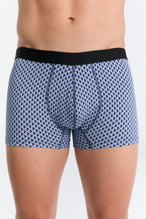 Trunk Shorts Geowelle