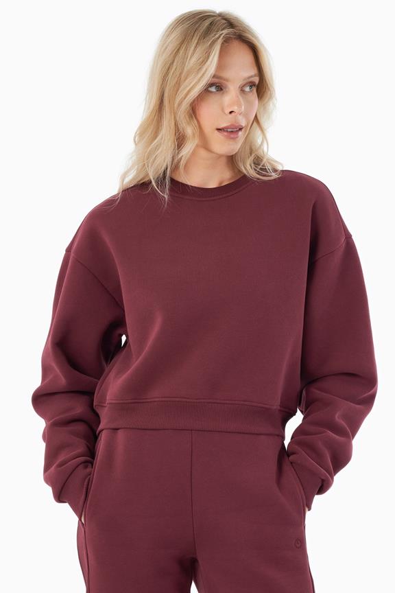 Sweatshirt Crop Sillivia Bordeaux