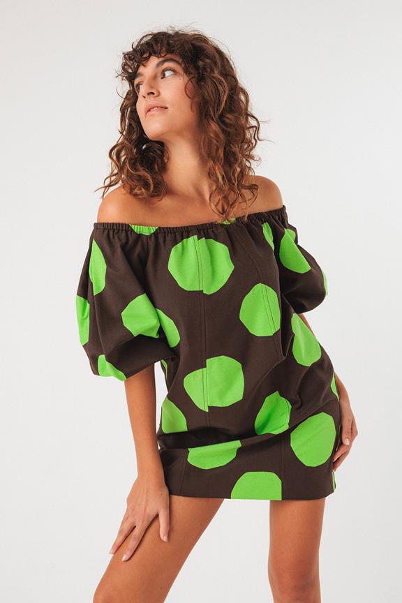 Kleid Silbane Braun/Grün