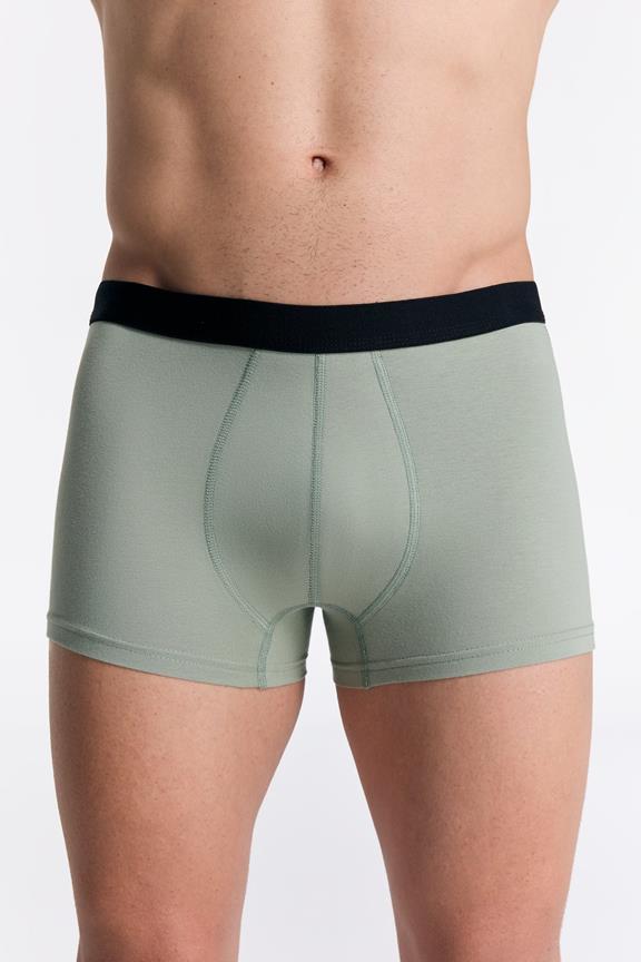 Korte Broek Ijsberggroen