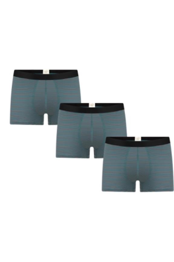 Multipack 3x Trunk Shorts Fir/Tabasco