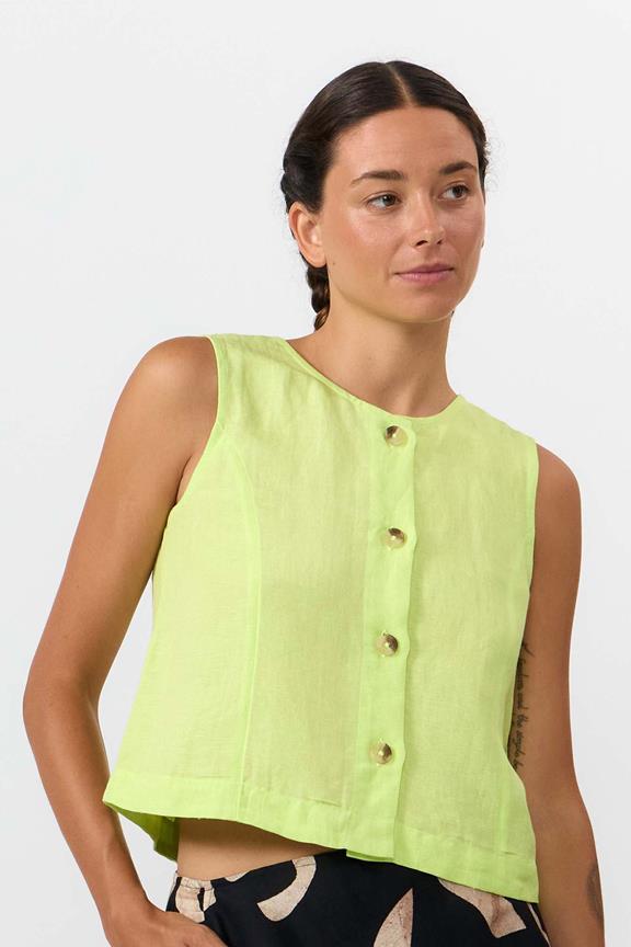 Top Fuji Apple Green