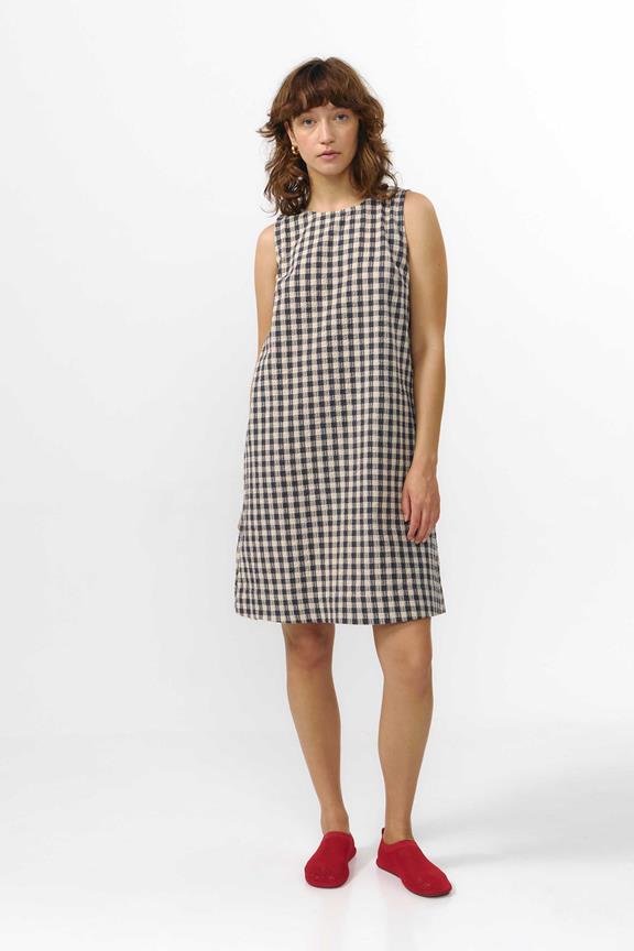 Jurk Lena Met Ruitjespatroon In Grijs