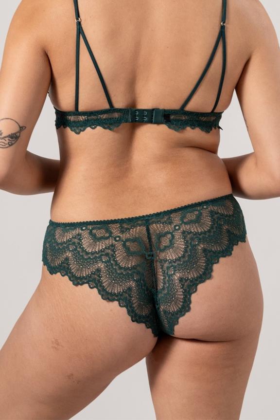 Lace Briefs Cheeky Pine Green