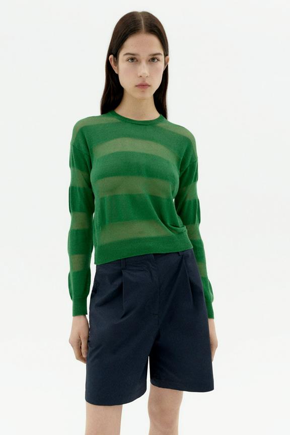 Knitted Sweater Jersey Be Green 