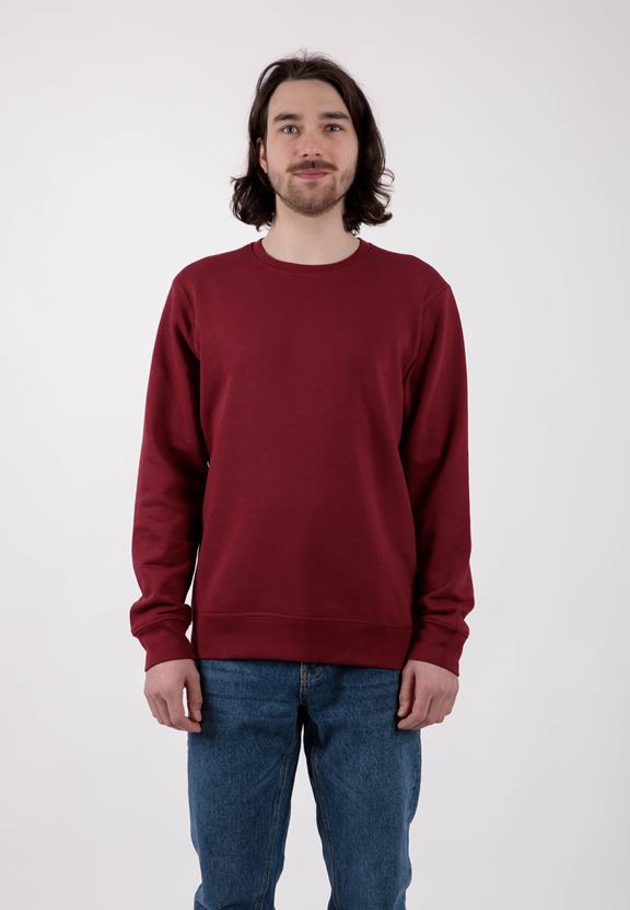 Pullover Roller Burgundy Rot