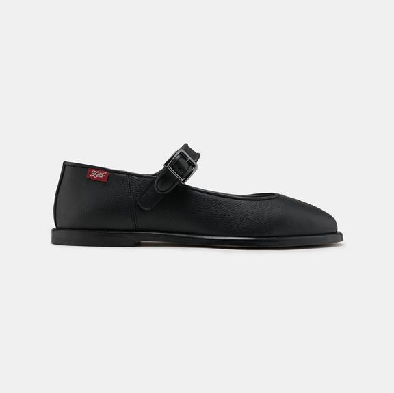 Zèta Flats Gaia Schwarz