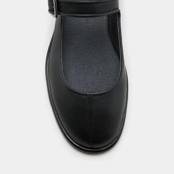 Zèta Flats Gaia Schwarz