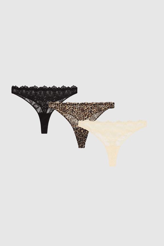Multipack 3x Thong Lace Multicolor 