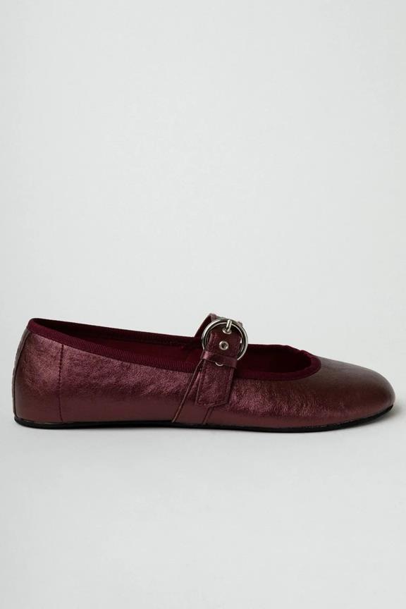 Flats Fivela Burgundy