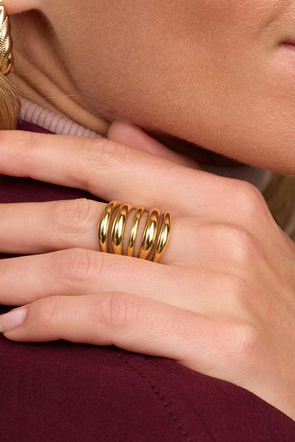 Ring Zion Fünf Stufen Gold