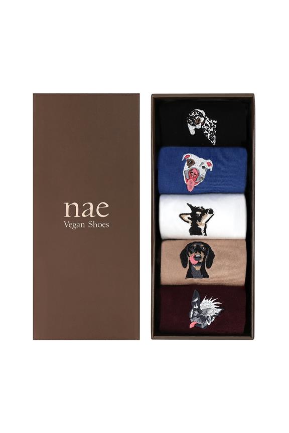 Multipack Van 5 Hondensokken In Diverse Kleuren