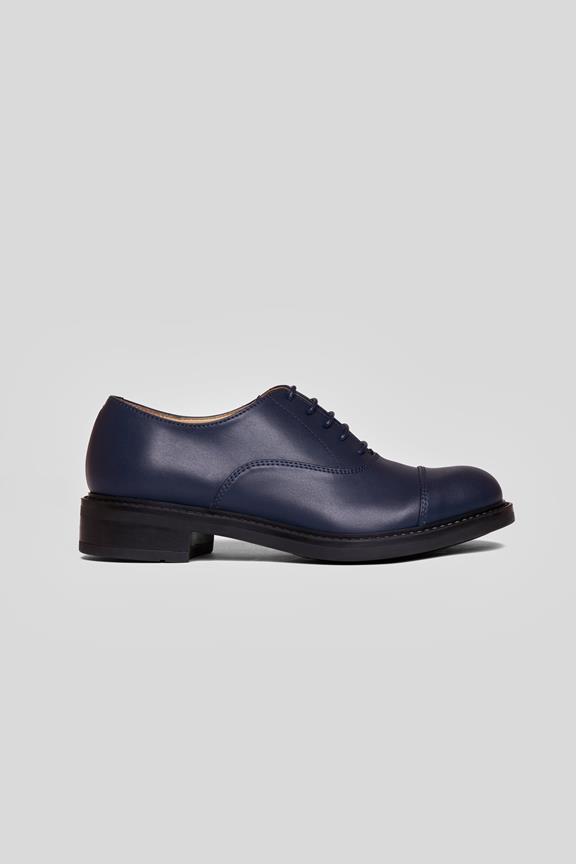 Shoes Oxford Navy Blue