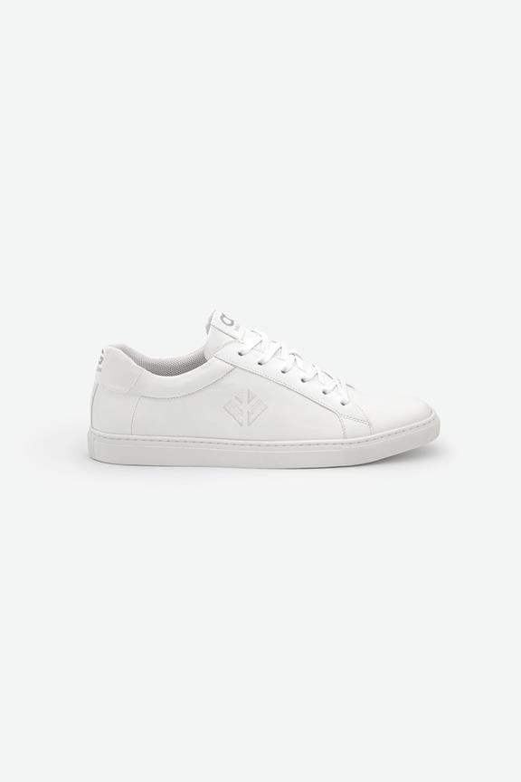 Sneakers Winton White Corn