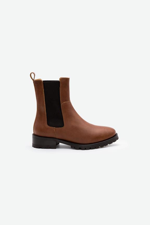 Chelsea Boots Themis Braun