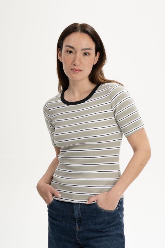 T-Shirt Ribbed Jasleen Dusty Green Stripes