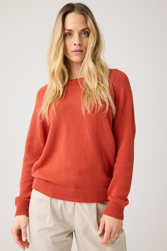 Sweater Crew Neck Burnt Brick