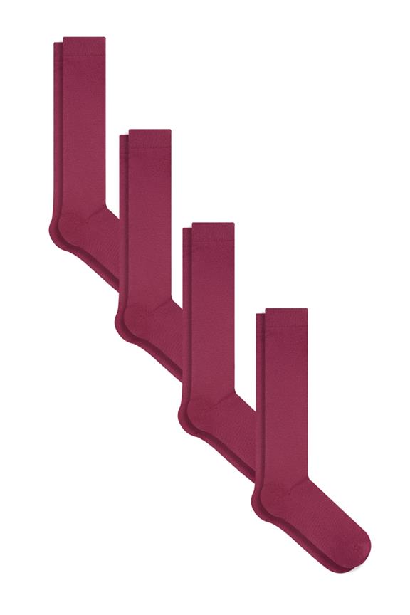 Multipack Van 4 Kniekousen In Bordeauxrood