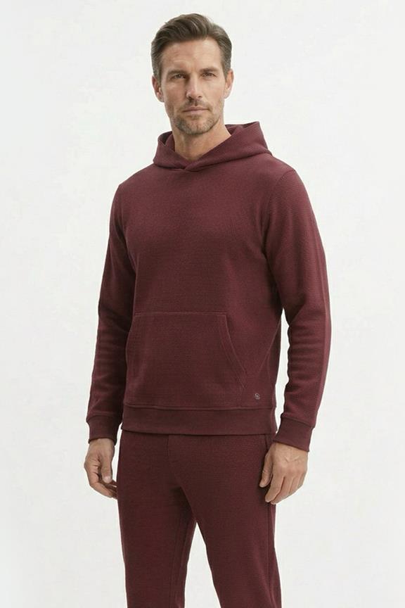 Hoodie Hectorr Bordeaux