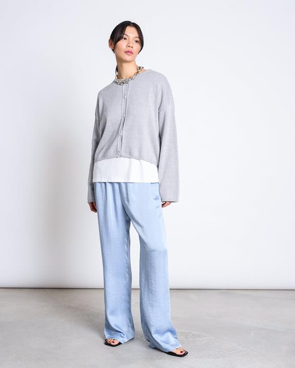 JAN 'N JUNE Cardigan Licht Asas Grijs
