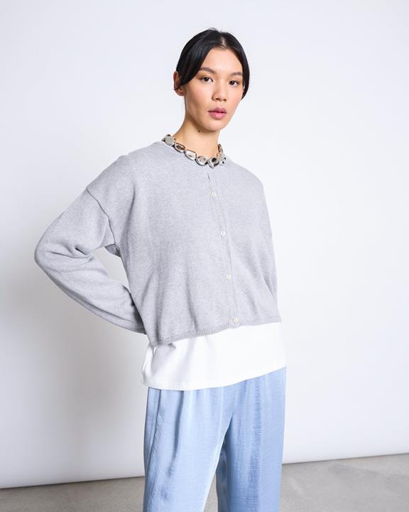 JAN 'N JUNE Cardigan Licht Asas Grijs