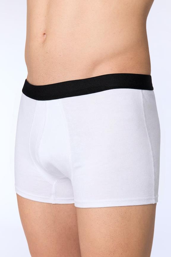 Trunk Shorts Natural White