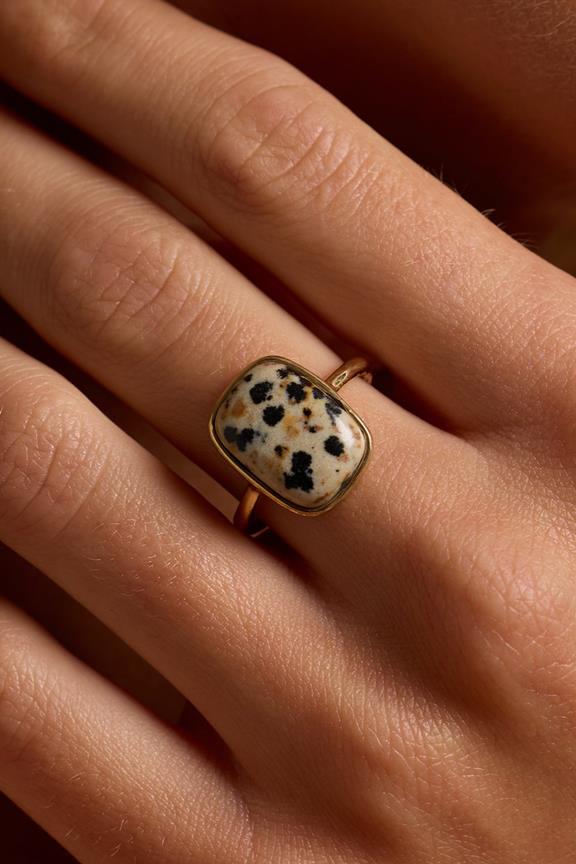 Ring Arizona Jaspis Crème Zwart