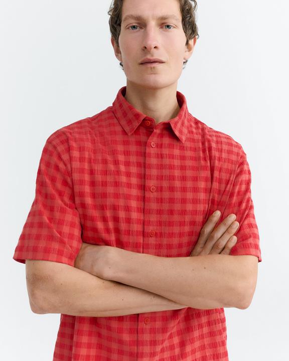 Thinking MU Shirt Paddy Seersucker Red