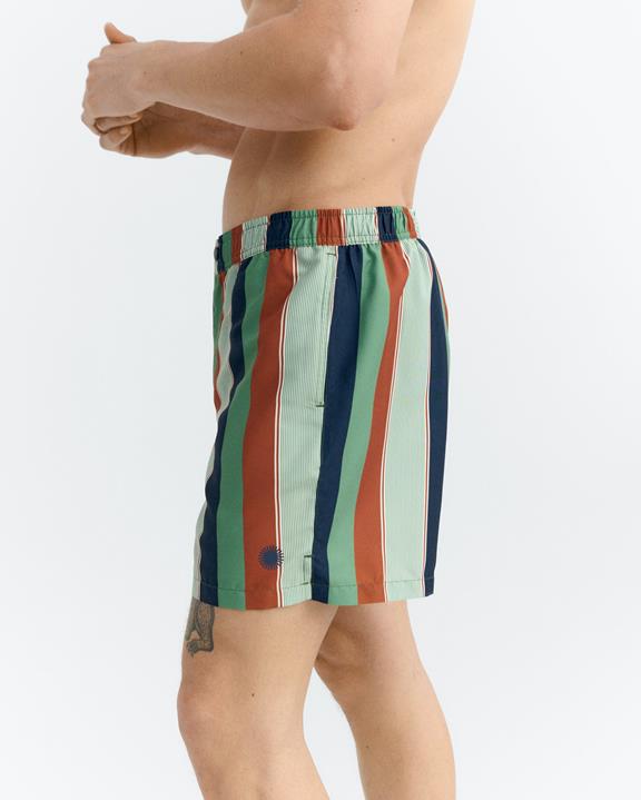 Thinking MU Shorts Swimwear Liu Multicolor Striped