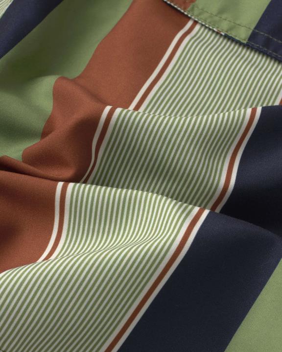 Thinking MU Shorts Swimwear Liu Multicolor Striped