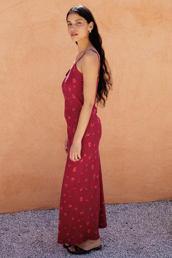 Avani Dress Jade Raspberry